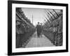 Premier Eamon De Valera, Inspecting the Guard of Honour Outside the Post Office in O'Connell Street-null-Framed Photographic Print