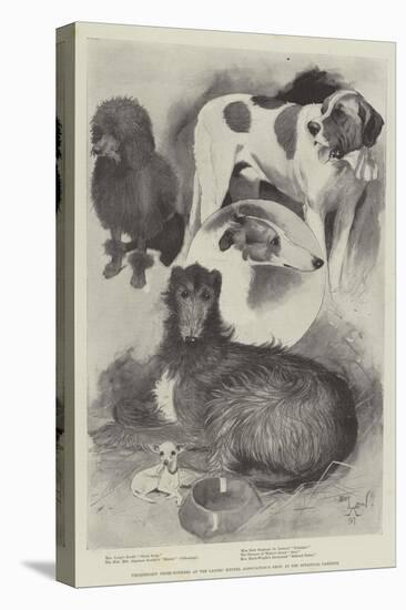 Premiership Prize-Winners at the Ladies' Kennel Association's Show at the Botanical Gardens-Cecil Aldin-Stretched Canvas