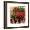 Premium Organic-Irena Orlov-Framed Art Print