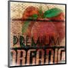 Premium Organic-Irena Orlov-Mounted Art Print