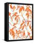 Premonition Orange-Jacqueline Maldonado-Framed Stretched Canvas