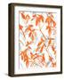 Premonition Orange-Jacqueline Maldonado-Framed Art Print