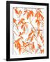 Premonition Orange-Jacqueline Maldonado-Framed Art Print