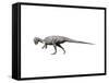 Prenocephale Dinosau-null-Framed Stretched Canvas