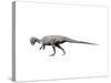 Prenocephale Dinosau-null-Stretched Canvas