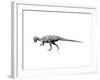 Prenocephale Dinosau-null-Framed Art Print