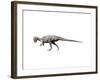 Prenocephale Dinosau-null-Framed Art Print