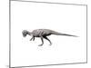 Prenocephale Dinosau-null-Mounted Art Print