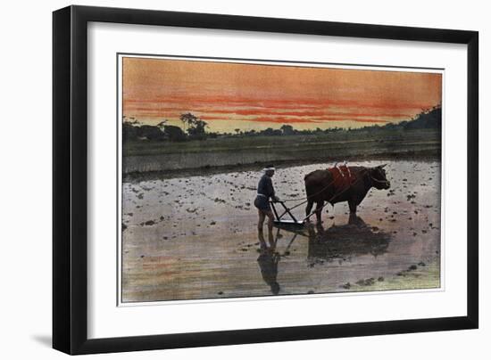 Preparation of a Rice Plantation in Japan, C1890-Charles Gillot-Framed Premium Giclee Print