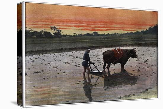 Preparation of a Rice Plantation in Japan, C1890-Charles Gillot-Stretched Canvas