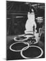Preparations For the Olympics, Olympic Symbol Being Made in Neon-John Dominis-Mounted Photographic Print
