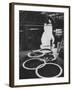 Preparations For the Olympics, Olympic Symbol Being Made in Neon-John Dominis-Framed Photographic Print