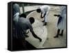 Preparations for Voodoo Ceremony at House, Haiti, West Indies, Central America-David Lomax-Framed Stretched Canvas