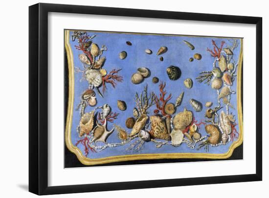 Preparatory Painting for Floor Console Decorated with Shells and Corals, 1760-Giuseppe Zocchi-Framed Giclee Print