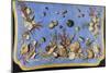 Preparatory Painting for Floor Console Decorated with Shells and Corals, 1760-Giuseppe Zocchi-Mounted Giclee Print