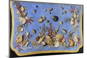 Preparatory Painting for Floor Console Decorated with Shells and Corals, 1760-Giuseppe Zocchi-Mounted Giclee Print