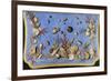 Preparatory Painting for Floor Console Decorated with Shells and Corals, 1760-Giuseppe Zocchi-Framed Giclee Print