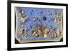 Preparatory Painting for Floor Console Decorated with Shells and Corals, 1760-Giuseppe Zocchi-Framed Giclee Print