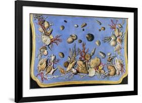 Preparatory Painting for Floor Console Decorated with Shells and Corals, 1760-Giuseppe Zocchi-Framed Giclee Print