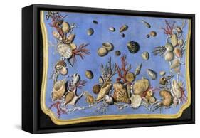 Preparatory Painting for Floor Console Decorated with Shells and Corals, 1760-Giuseppe Zocchi-Framed Stretched Canvas