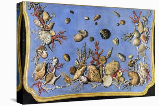 Preparatory Painting for Floor Console Decorated with Shells and Corals, 1760-Giuseppe Zocchi-Stretched Canvas