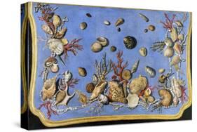 Preparatory Painting for Floor Console Decorated with Shells and Corals, 1760-Giuseppe Zocchi-Stretched Canvas