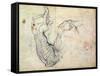 Preparatory Study for the Arm of Christ in the Last Judgement, 1535-41-Michelangelo Buonarroti-Framed Stretched Canvas