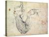 Preparatory Study for the Arm of Christ in the Last Judgement, 1535-41-Michelangelo Buonarroti-Stretched Canvas