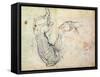 Preparatory Study for the Arm of Christ in the Last Judgement, 1535-41-Michelangelo Buonarroti-Framed Stretched Canvas