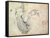 Preparatory Study for the Arm of Christ in the Last Judgement, 1535-41-Michelangelo Buonarroti-Framed Stretched Canvas