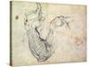 Preparatory Study for the Arm of Christ in the Last Judgement, 1535-41-Michelangelo Buonarroti-Stretched Canvas