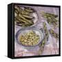 Preparing Broad Beans-Felicity House-Framed Stretched Canvas