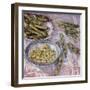 Preparing Broad Beans-Felicity House-Framed Giclee Print