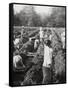 Preparing Irrigation Channels at a Sugar Plantation, Java, Dutch East Indies, 1927-null-Framed Stretched Canvas