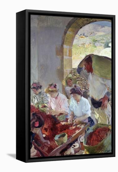 Preparing the Dry Grapes, 1890-Joaquín Sorolla y Bastida-Framed Stretched Canvas