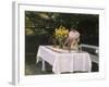 Preparing the Table-Michael Peter Ancher-Framed Giclee Print