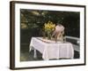 Preparing the Table-Michael Peter Ancher-Framed Giclee Print