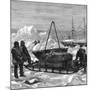 Preparing to Start on a Sledge Trip in the Arctic, 1875-W Palmer-Mounted Giclee Print