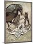 Preposterous Cried Solomon in a Rage, from Peter Pan in Kensington Gardens by J M Barrie (1860 - 1-Arthur Rackham-Mounted Giclee Print