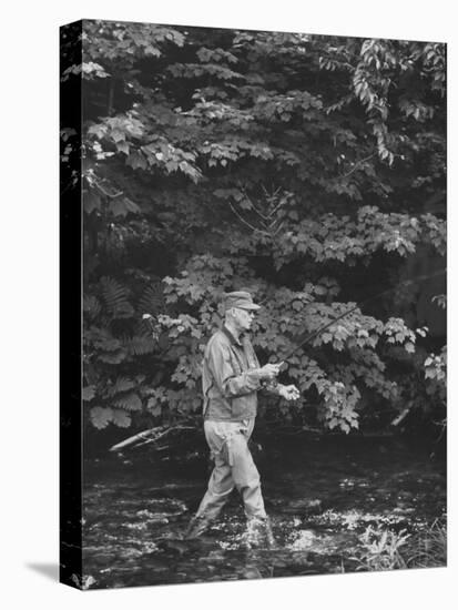 Pres. Dwight D. Eisenhower Fishing, During His New England Vacation-null-Stretched Canvas