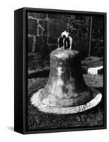 Presbyterian Bell-null-Framed Stretched Canvas