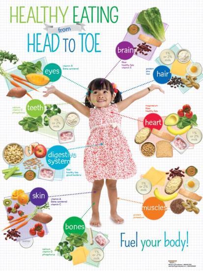 Laminated Poster, , large