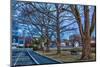 Prescott Park and Mechanic Street in Portsmouth, New Hampshire-Jerry & Marcy Monkman-Mounted Photographic Print