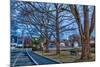 Prescott Park and Mechanic Street in Portsmouth, New Hampshire-Jerry & Marcy Monkman-Mounted Photographic Print