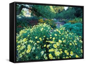 Prescott Park Garden, New Hampshire, USA-Jerry & Marcy Monkman-Framed Stretched Canvas