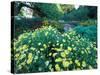 Prescott Park Garden, New Hampshire, USA-Jerry & Marcy Monkman-Stretched Canvas