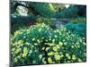 Prescott Park Garden, New Hampshire, USA-Jerry & Marcy Monkman-Mounted Photographic Print