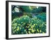 Prescott Park Garden, New Hampshire, USA-Jerry & Marcy Monkman-Framed Photographic Print