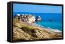 Framed Canvas