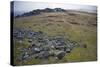 Preseli Hills (Mynyddoedd Y Preseli)-Duncan Maxwell-Stretched Canvas